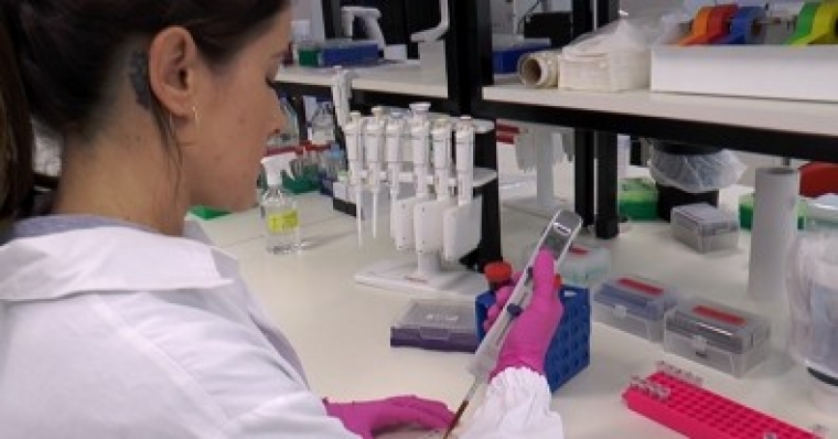 Acceso abierto sin costo adicional